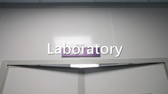 Disposable Elderly Baby Diapers Pampered Bulk Products From China